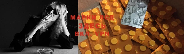 ПСИЛОЦИБИНОВЫЕ ГРИБЫ Приозерск