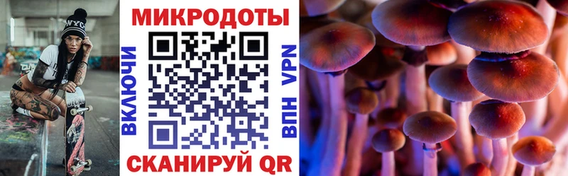 Купить где Ижевск Псилоцибиновые грибы MAGIC MUSHROOMS